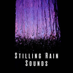 Melodic Rainfall Harmony