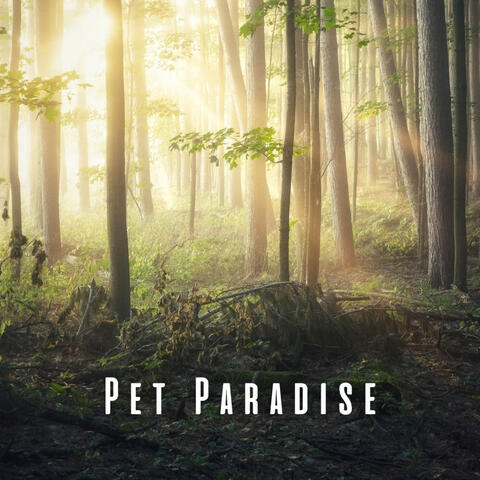 Pet Paradise: Calming Nature and Chill Sounds