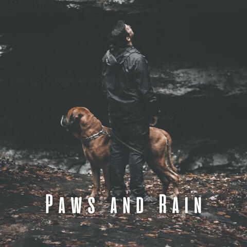 Paws and Rain: Binaural Dog Paradise