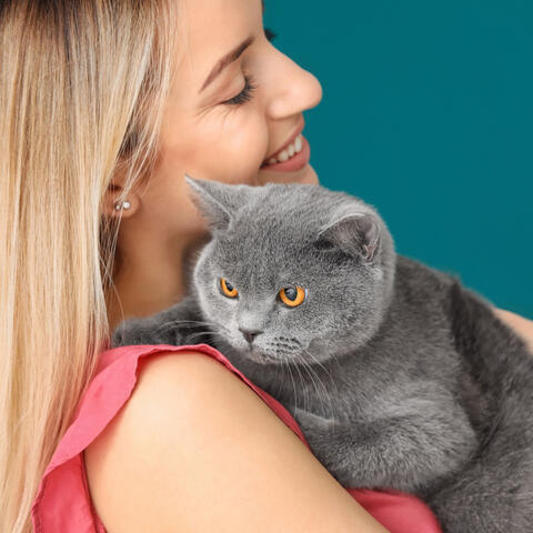 Pet Serenity: Harmonious Meditation Melodies