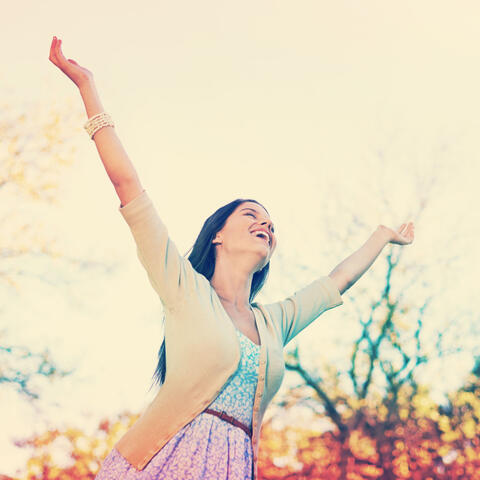 Tranquil Vibes: Serenade for Utmost Relaxation