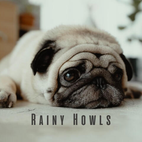 Rainy Howls: Binaural Melodies for Relaxing Dogs