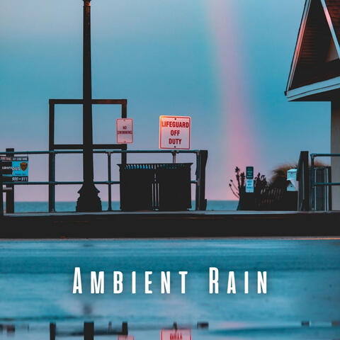 Ambient Rain: Relaxing Sounds for Peaceful Dogs