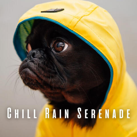 Chill Rain Serenade: Relaxing Sounds for Happy Dogs