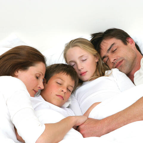 Blissful Sleep: Soothing White Noise and Rain Soundscape