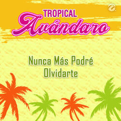 Nunca Más Podré Olvidarte