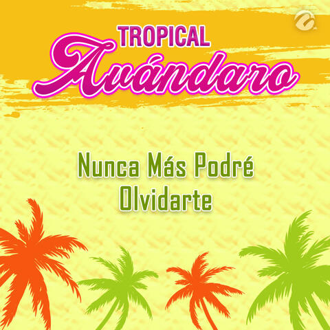 Nunca Más Podré Olvidarte