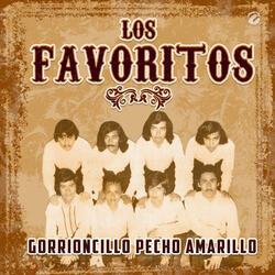 Gorrioncillo Pecho Amarillo