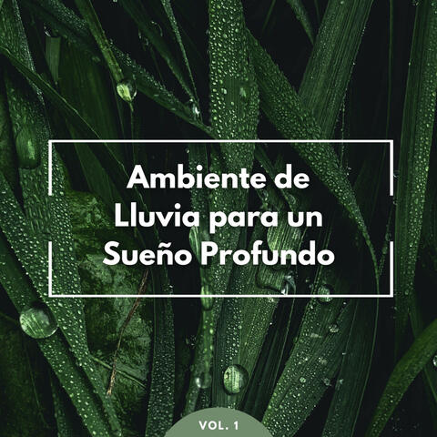 Ambiente De Lluvia Para Un Sueño Profundo Vol. 1