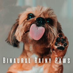 Pitter-Patter Playtime with Binaural Rain
