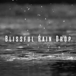 Zenful Raindrop Serenade