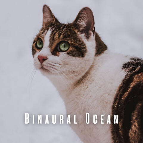Binaural Ocean: Theta Wave for Cats' Peace