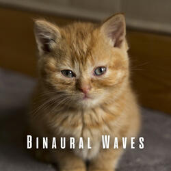 Binaural Kitty Drizzle