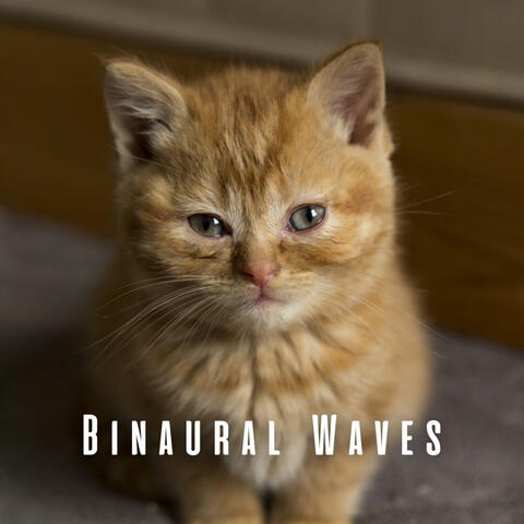Binaural Waves: Rainy Theta Waves for Soothing Cats