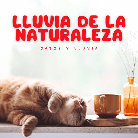 Lluvia de la Naturaleza: Gatos y Lluvia