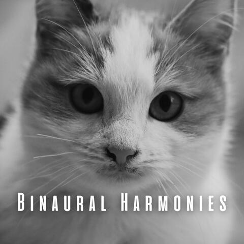 Binaural Harmonies: Calm Rain Sounds with Theta Waves for Cats