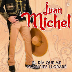 El Día Que Me Acaricies Lloraré