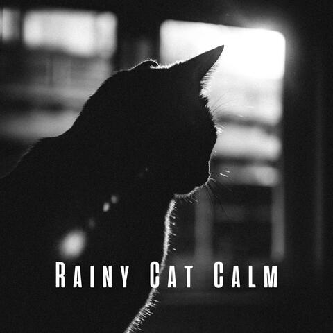Rainy Cat Calm: Chill Sounds for Tranquil Felines