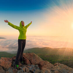 Embracing Wilderness