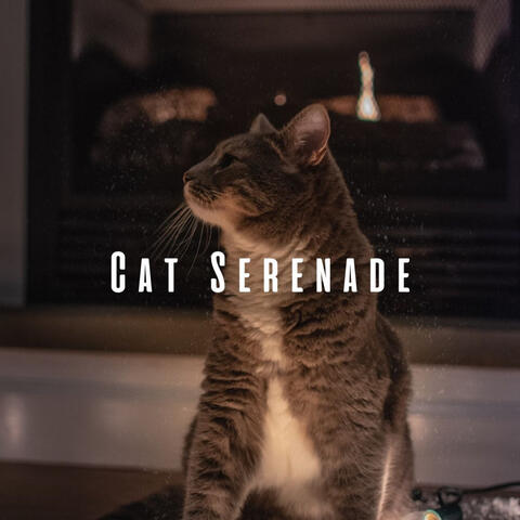 Cat Serenade: Fire and Chill Sounds for Tranquil Kitties