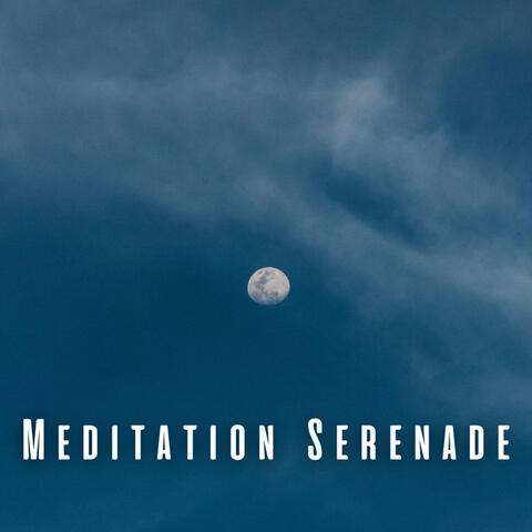 Meditation Serenade: Soothing Rain Sounds for Blissful Sleep