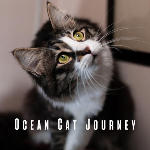 Ocean Cat Journey: Serene Binaural Beats and Theta Waves