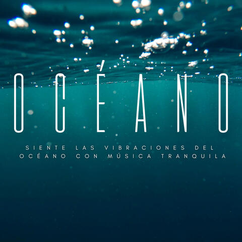 Siente Las Vibraciones Del Océano Con Música Tranquila