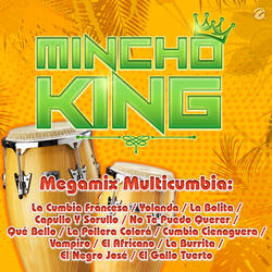 Megamix Multicumbia: La Cumbia Francesa , Yolanda , La Bolita , Capullo Y Sorullo , No Te Puedo Querer , Qué Bello , La Pollera Colorá , Cumbia Cienaguera , Vampiro , El Africano , La Burrita , El Negro José , El Gallo Tuerto