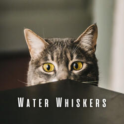 Soothing River Meows