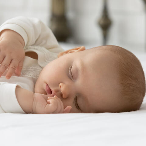 Nature's Baby Serenade: Chill Birds and Nature for Restful Naps