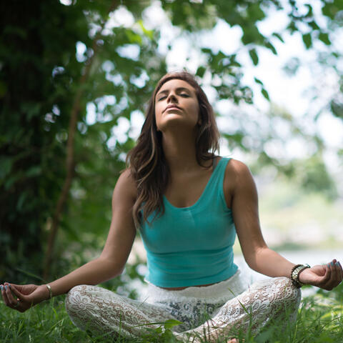 Nature's Path to Stillness: Chill Rain for Mindful Meditation