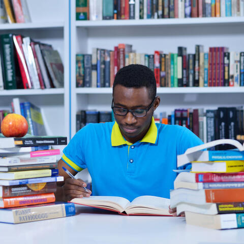 Stormy Study Haven: Serene Nature Chill for Academic Learning