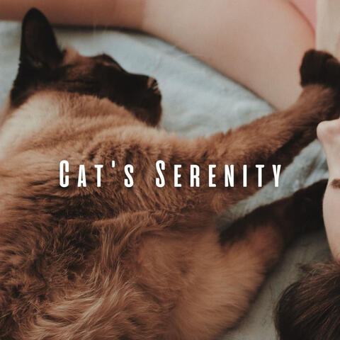 Cat's Serenity: River Melodies and Chill Sounds