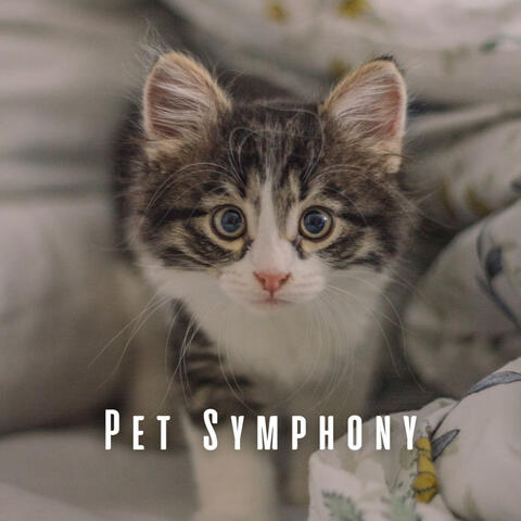 Pet Symphony: Piano Serenades for Happy Paws