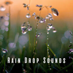 Refreshing Pet Rain Drops