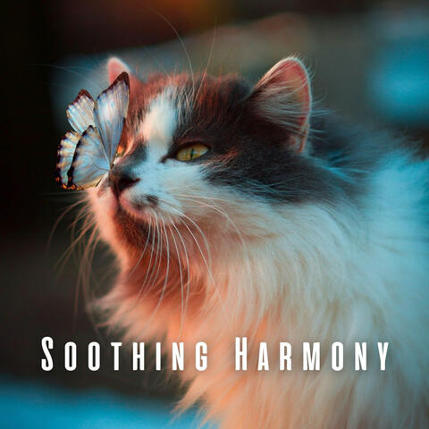 Soothing Harmony: Rainy Singing Crystal Bowl for Cat Therapy