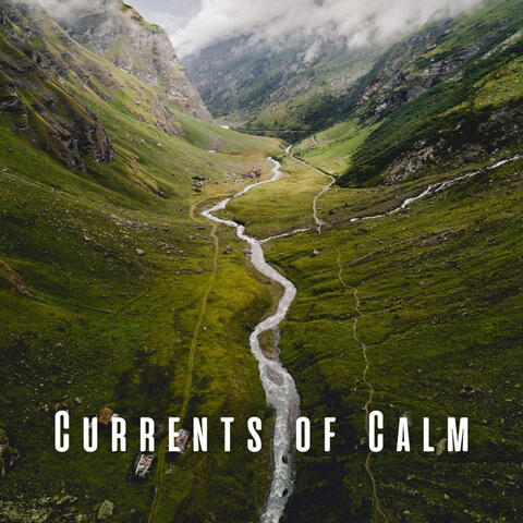 Currents of Calm: Mindful Yoga with Water and Chill Sounds