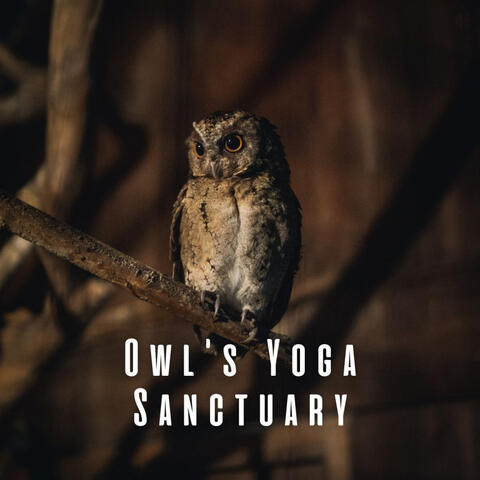 Owl's Yoga Sanctuary: Harmonizing with Nature