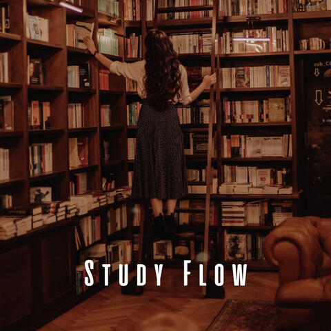 Study Flow: Smooth Lofi Music for for Academic Pursuits