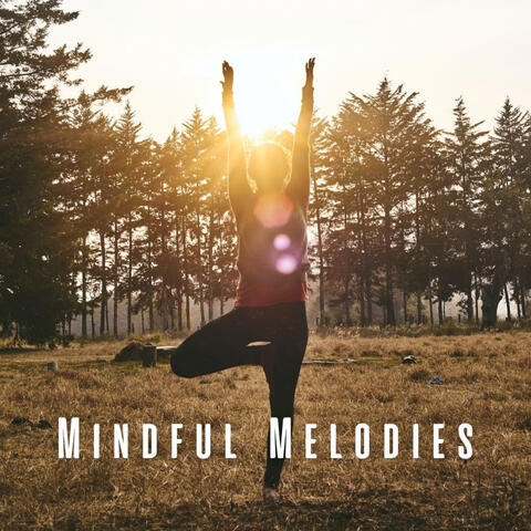 Mindful Melodies: Peaceful Yoga Flow with Cicada Sounds