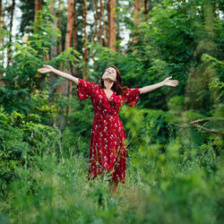 Nature Finds Peace in Bird Song Retreat