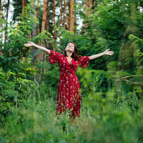 Nature's Wings of Serenity: Birds and Owls in a Relaxation Retreat
