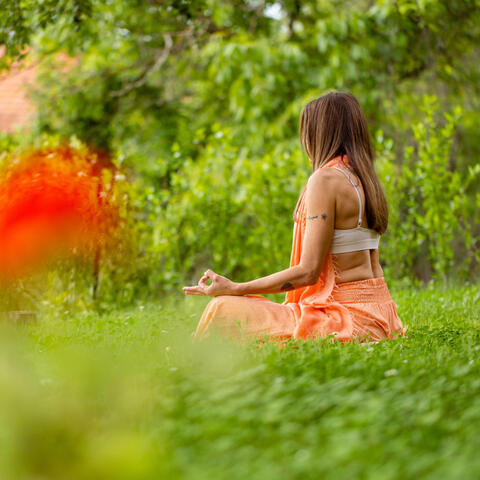 Rainforest Zen: A Yoga Retreat with Ambient Music