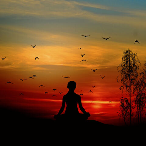 Twilight Nature Meditation: Harmonic Hooting Owl Soundscape