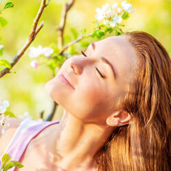 Gentle Rain for Heart's Ease