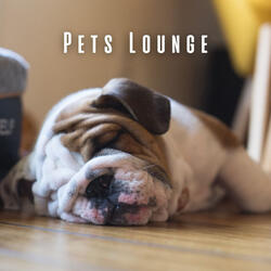 Blissful Pet Harmony