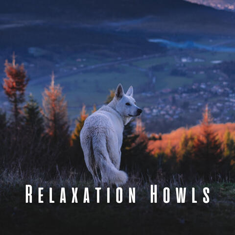 Relaxation Howls: Wolf & Nature's Symphony ASMR