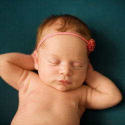 Comforting Feathered Lullabies