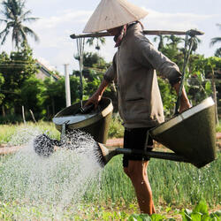 Serenade of Water and Work