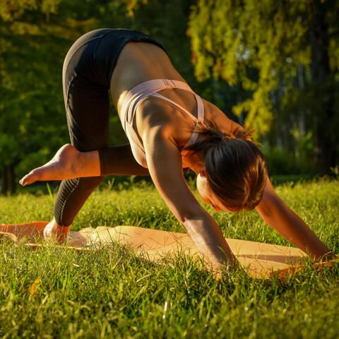 Nature Cricket Serenade: Serene Yoga and Crystal Singing Bowl